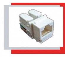 Ecoplast Механизм розетки компьютерной RJ-45, кат.5е, UTP модуль (8 контакта) LK45 856100